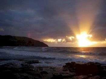 5 Whitecrest Great Ocean Road Resort - Ocean Views Sugarloaf Bagian luar foto